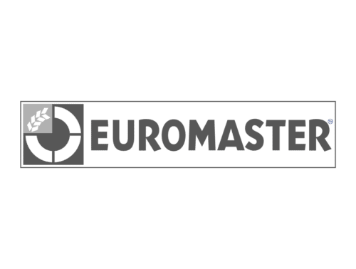 Euromaster-500x378
